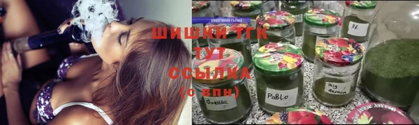 сатива Алексеевка