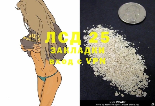 дживик Алзамай