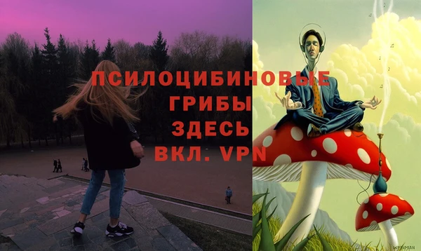 бутират Алексин